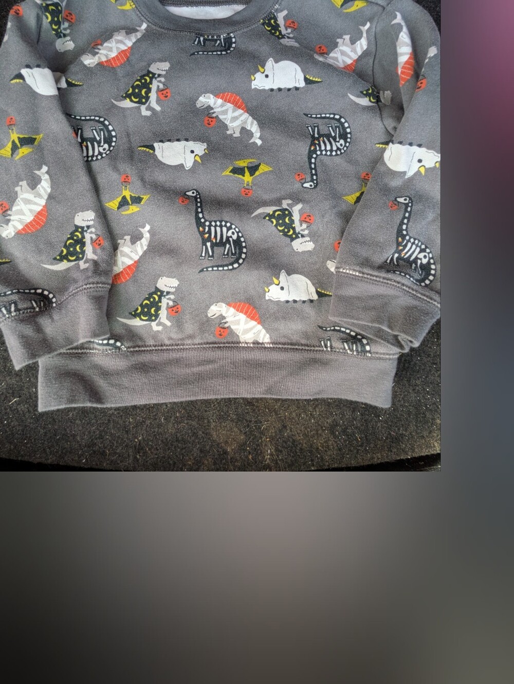 Carter's Grey Dinosaur Halloween Crew Neck Sweatshirwith Yellow & Orange Accents